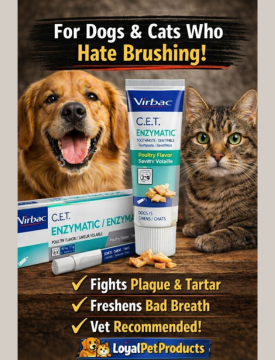 The Toothpaste Your Dog (and Cat) Will Actually Tolerate